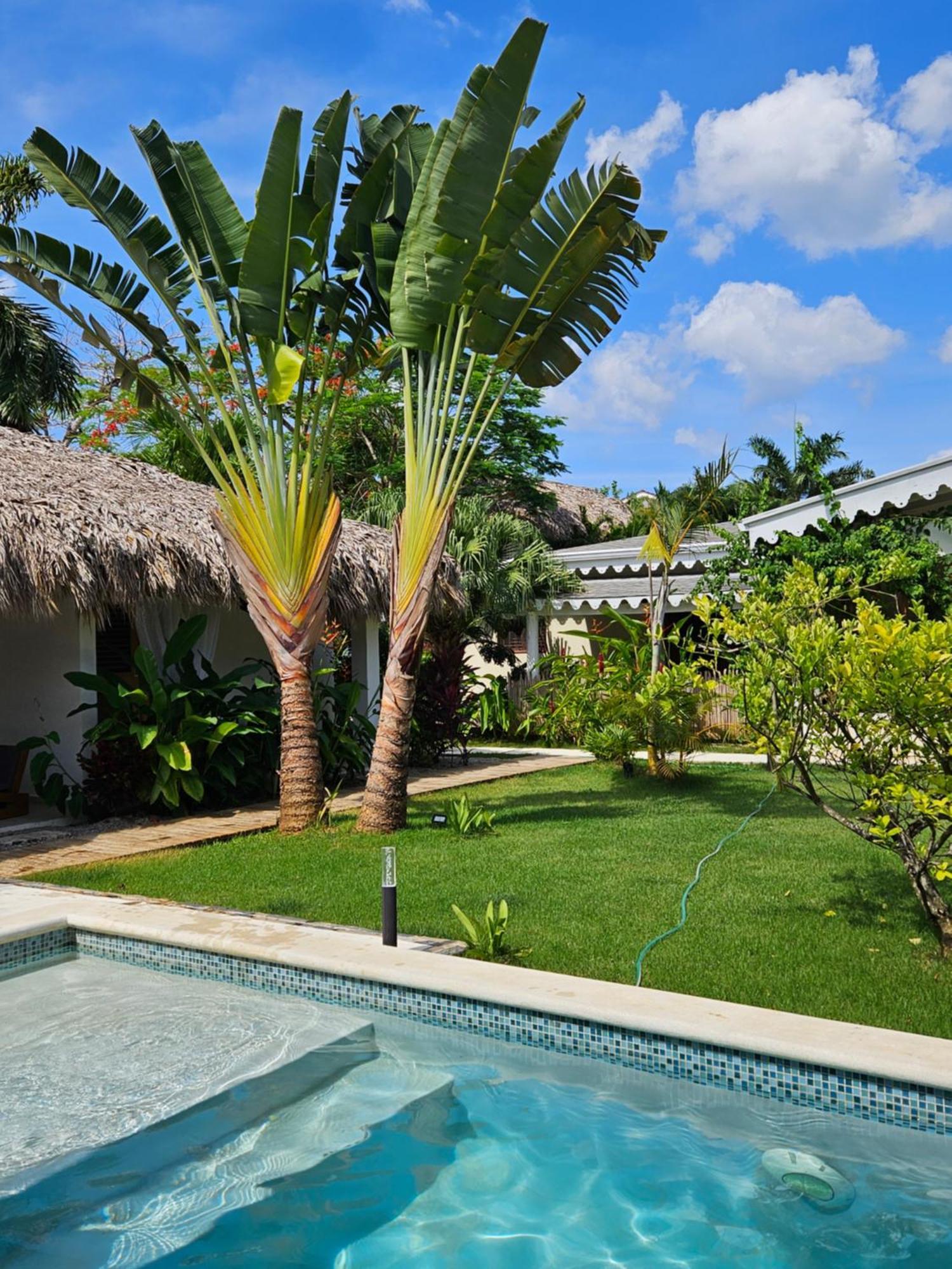 Casa Shambala B&B Las Terrenas Ngoại thất bức ảnh