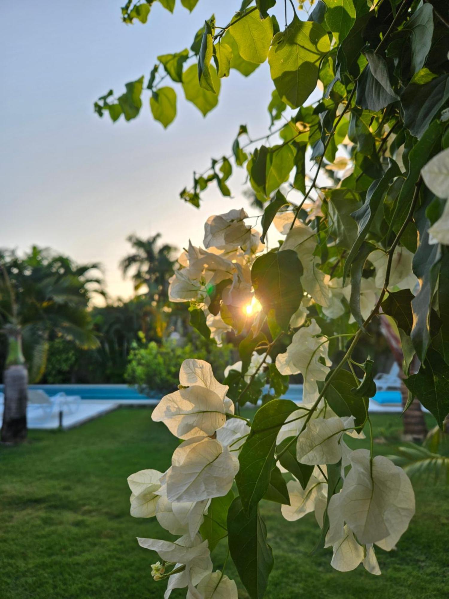 Casa Shambala B&B Las Terrenas Ngoại thất bức ảnh