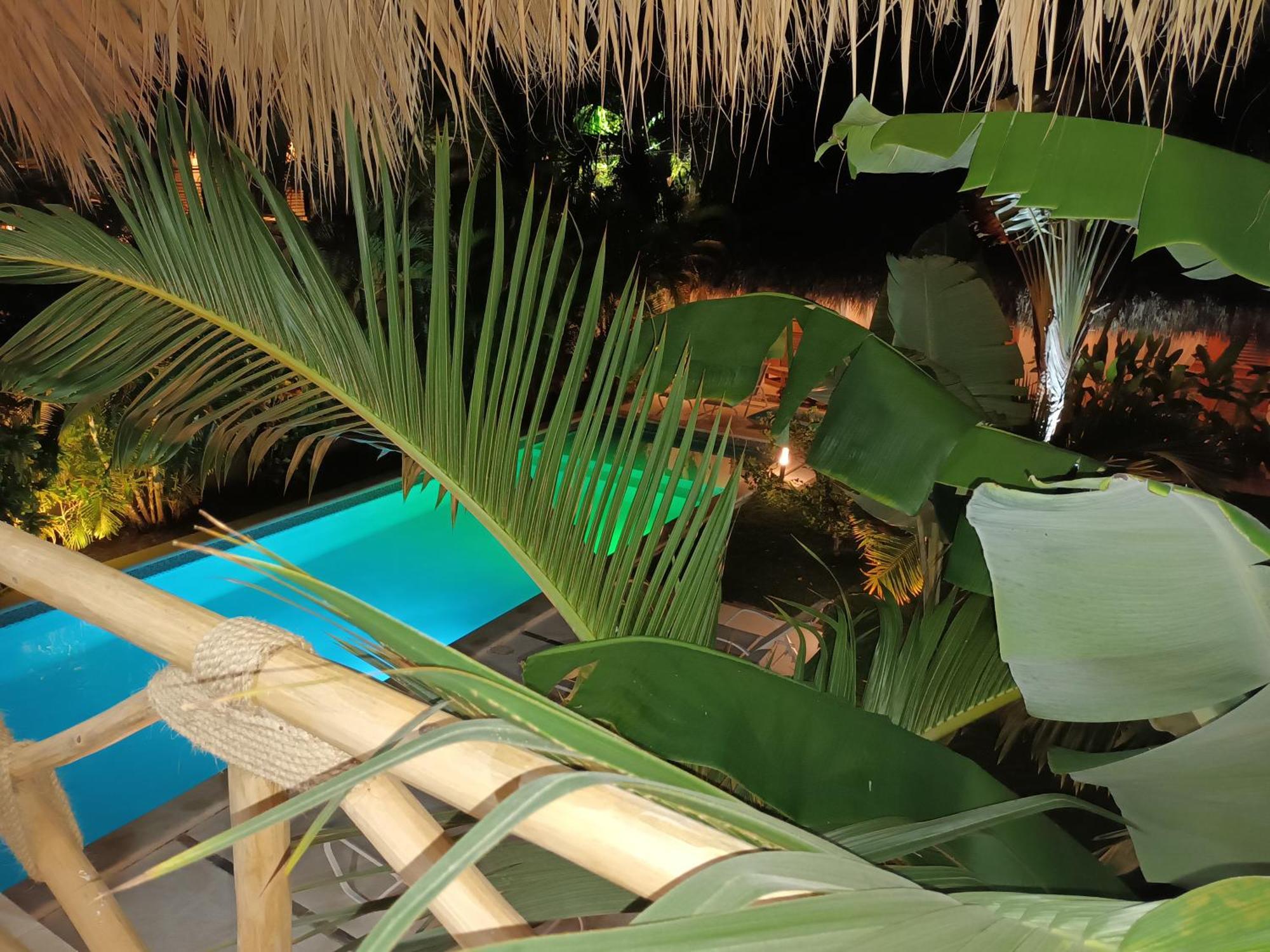 Casa Shambala B&B Las Terrenas Ngoại thất bức ảnh
